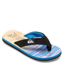 NWT Quicksilver Flip Flops